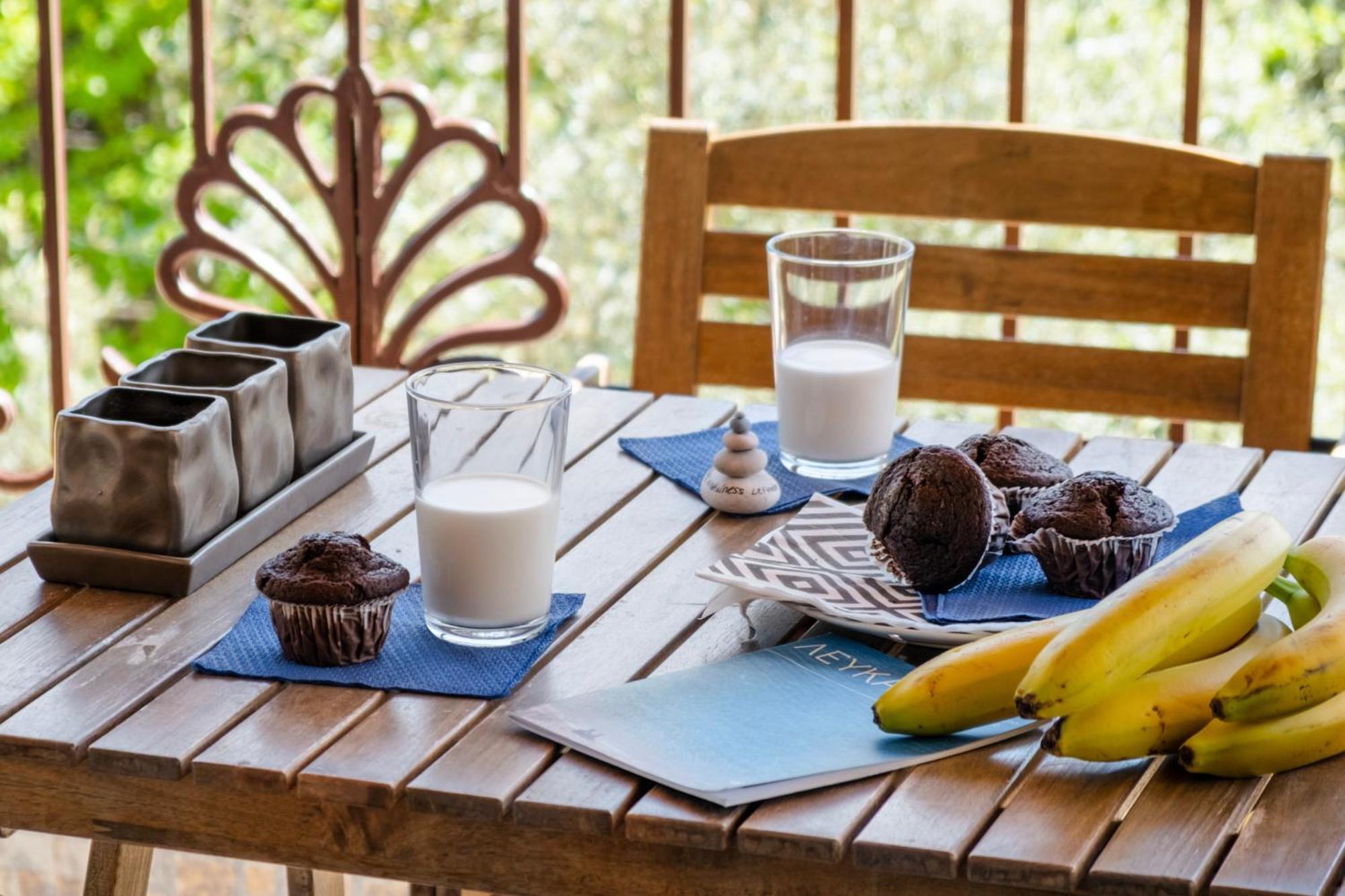 Apanema Mindfulness Lefkada - Ultra Fast Starlink Wifi In 2025 Asprogerakata