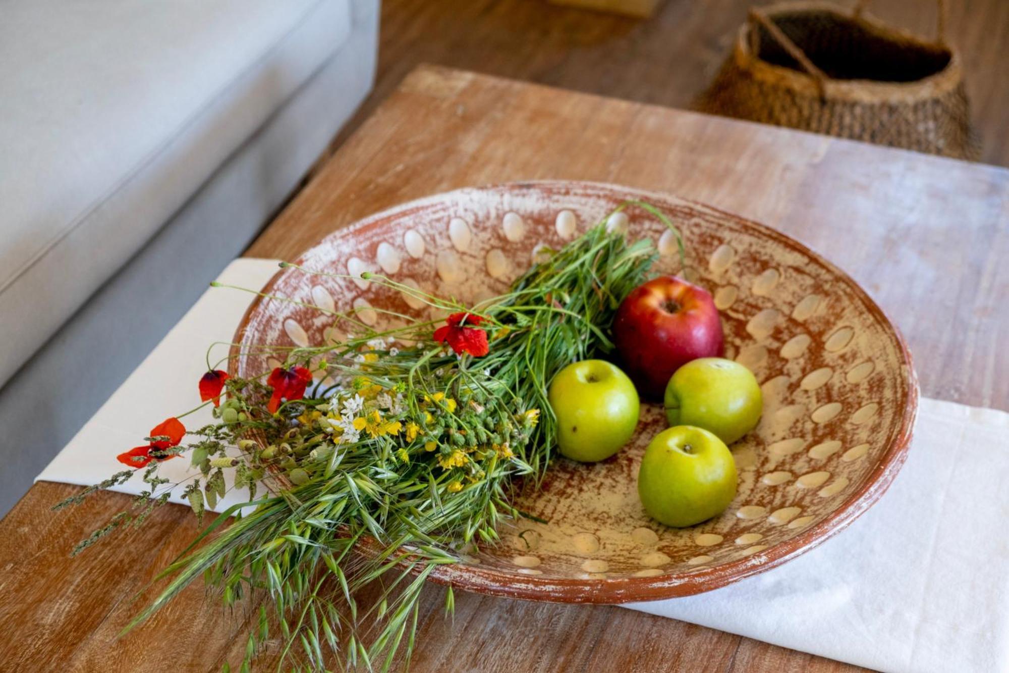 Apanema Mindfulness Lefkada - Ultra Fast Starlink Wifi In 2025 Villa Asprogerakata