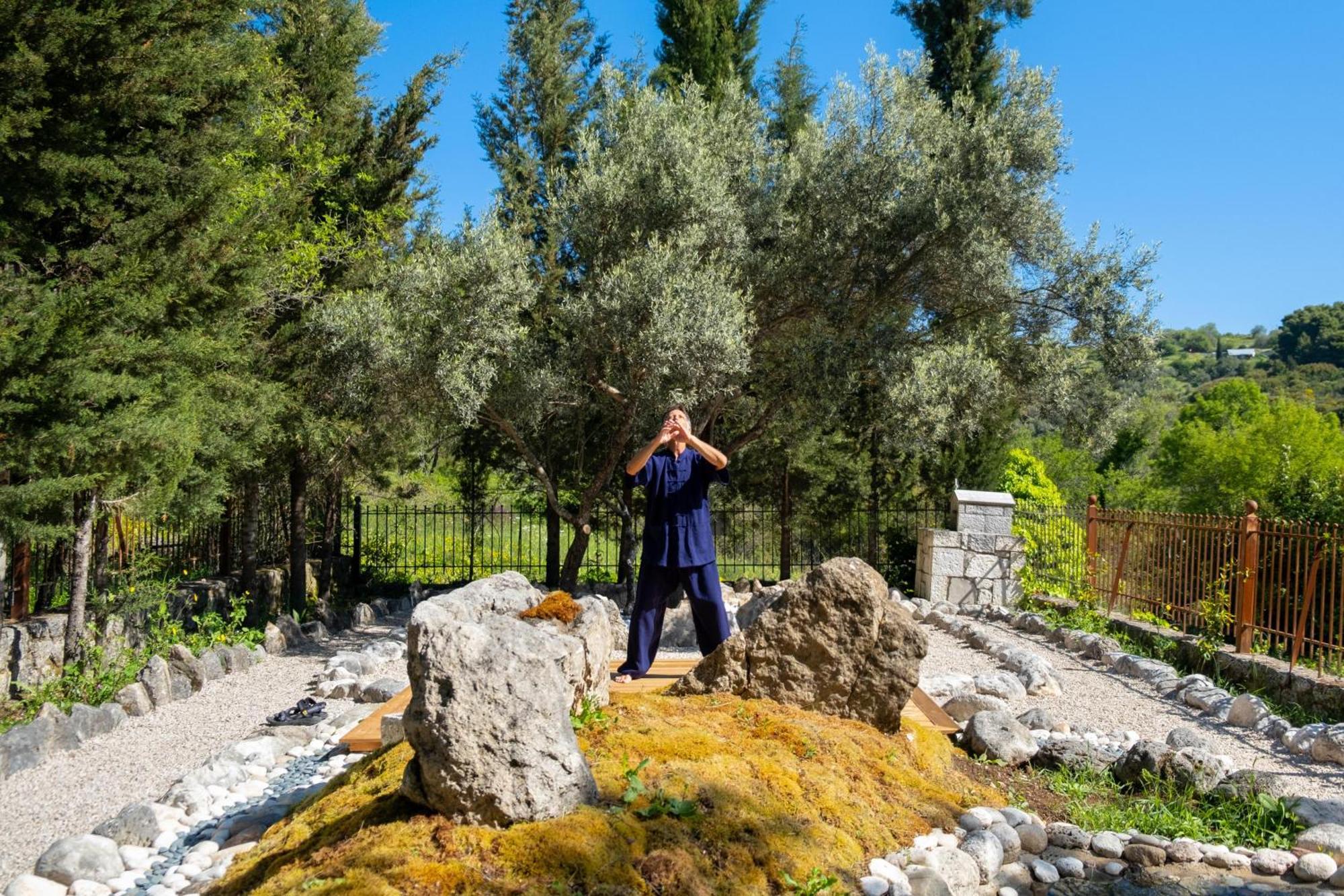 Apanema Mindfulness Lefkada - Ultra Fast Starlink Wifi In 2025 Villa *