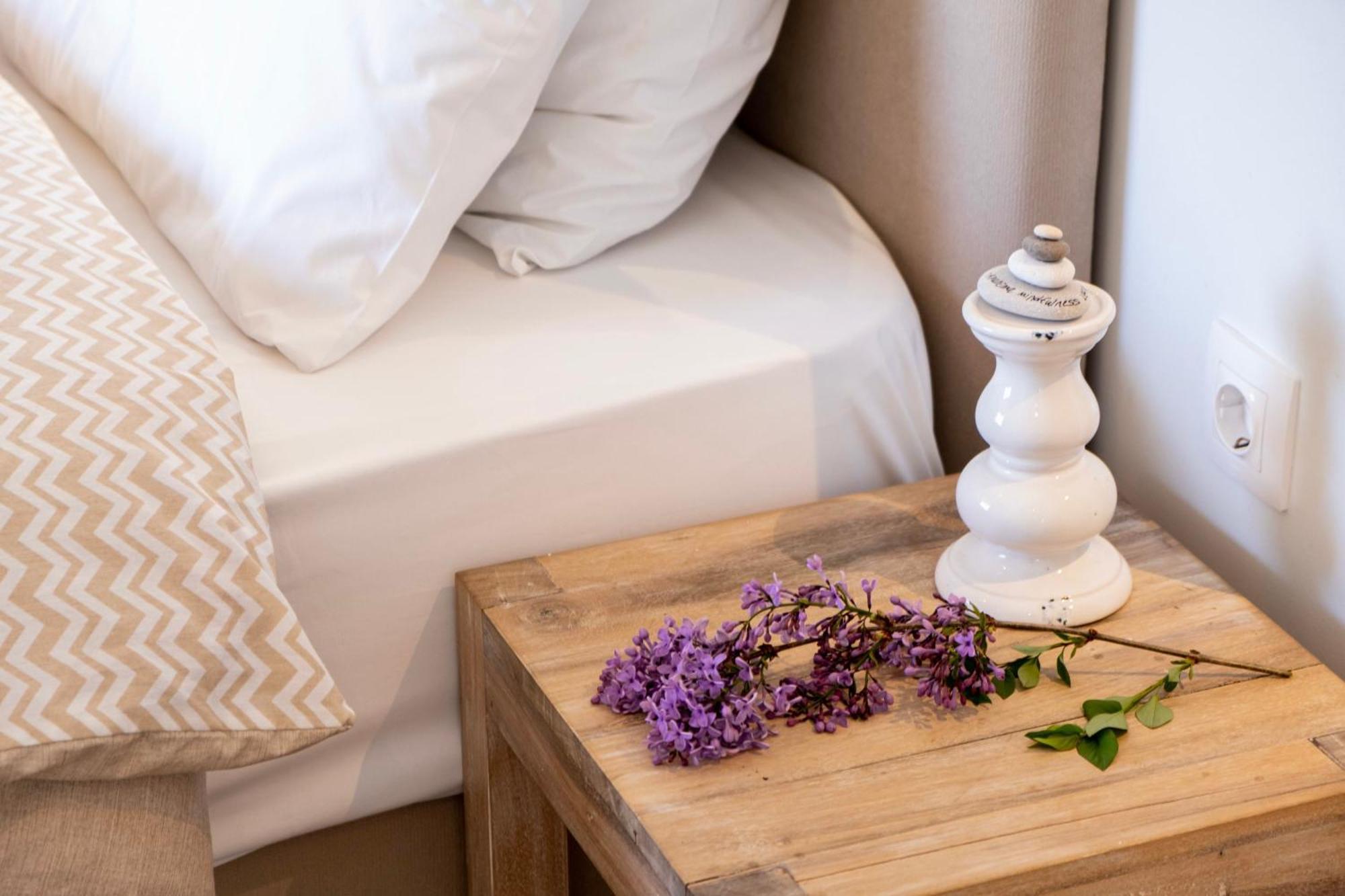Apanema Mindfulness Lefkada - Ultra Fast Starlink Wifi In 2025 Вилла